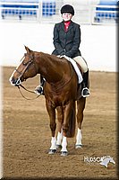 4H-Sate-102713-1262.jpg