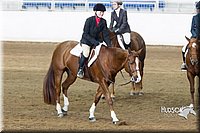 4H-Sate-102713-1265.jpg