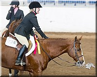 4H-Sate-102713-1267.jpg