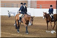 4H-Sate-102713-1270.jpg