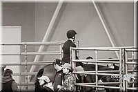 4H-Sate-102713-1277.jpg