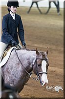 4H-Sate-102713-1280.jpg