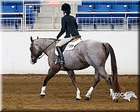 4H-Sate-102713-1283.jpg