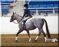 4H-Sate-102713-1284.jpg