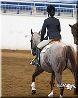 4H-Sate-102713-1285.jpg