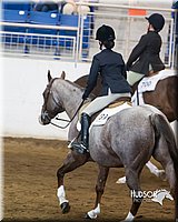 4H-Sate-102713-1286.jpg