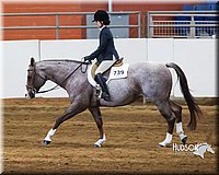 4H-Sate-102713-1287.jpg