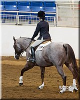 4H-Sate-102713-1289.jpg