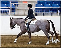 4H-Sate-102713-1290.jpg