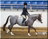 4H-Sate-102713-1291.jpg