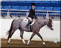 4H-Sate-102713-1296.jpg