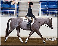 4H-Sate-102713-1299.jpg