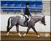 4H-Sate-102713-1300.jpg
