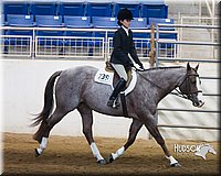 4H-Sate-102713-1301.jpg