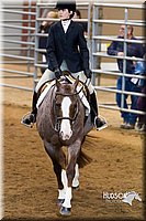 4H-Sate-102713-1303.jpg