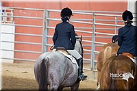 4H-Sate-102713-1316.jpg