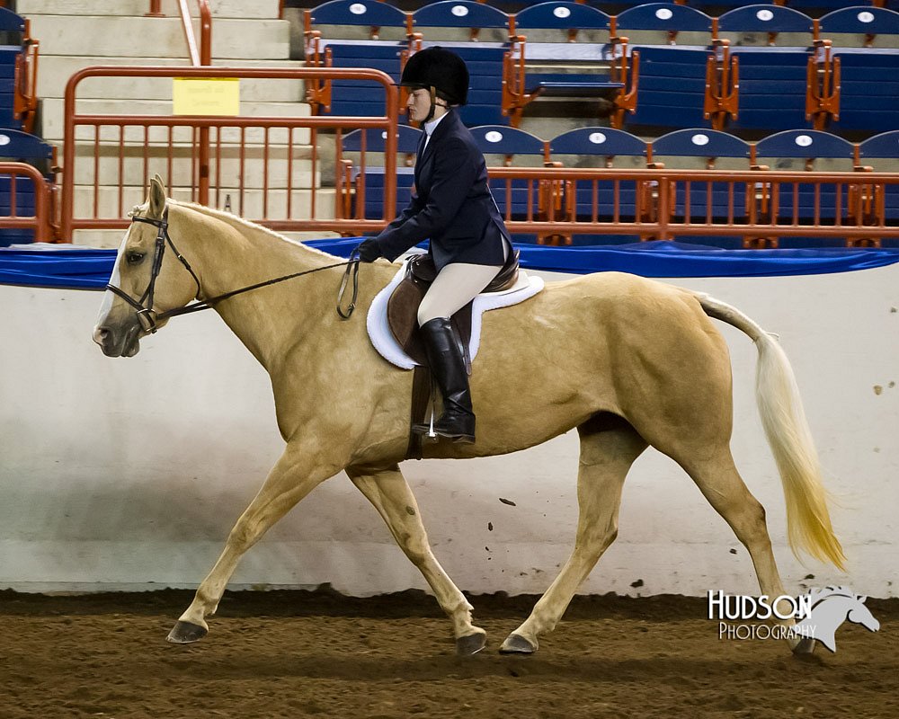 4H-Sate-102613-0609.jpg