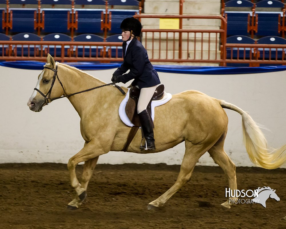 4H-Sate-102613-0622.jpg