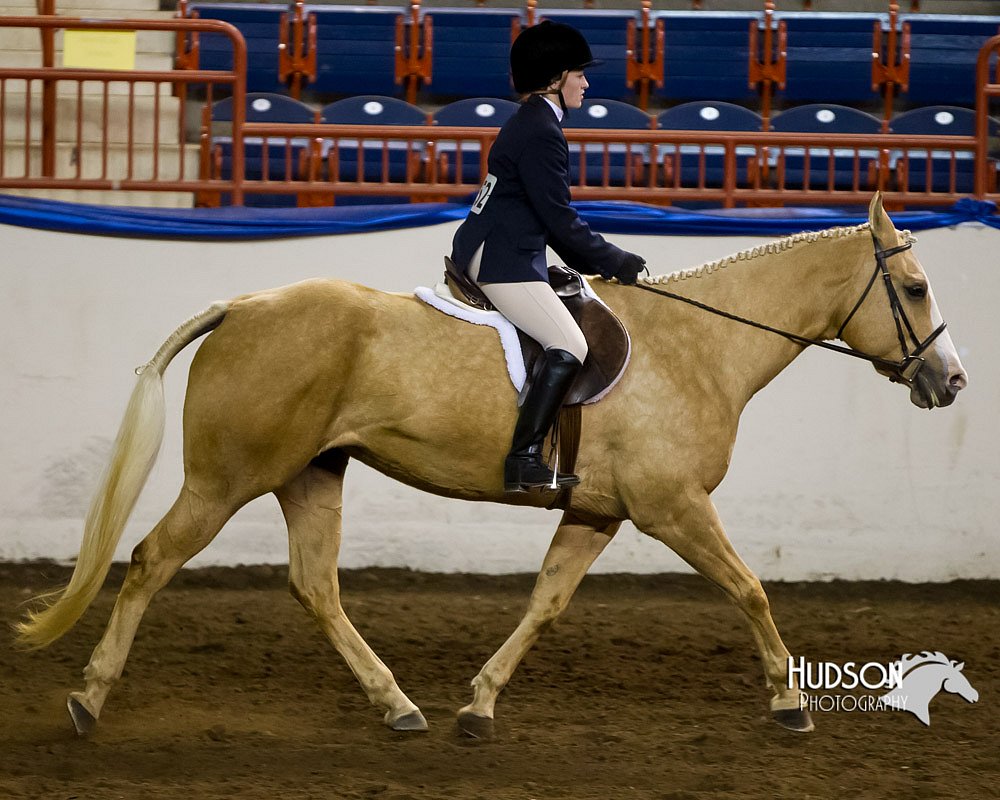 4H-Sate-102613-0625.jpg