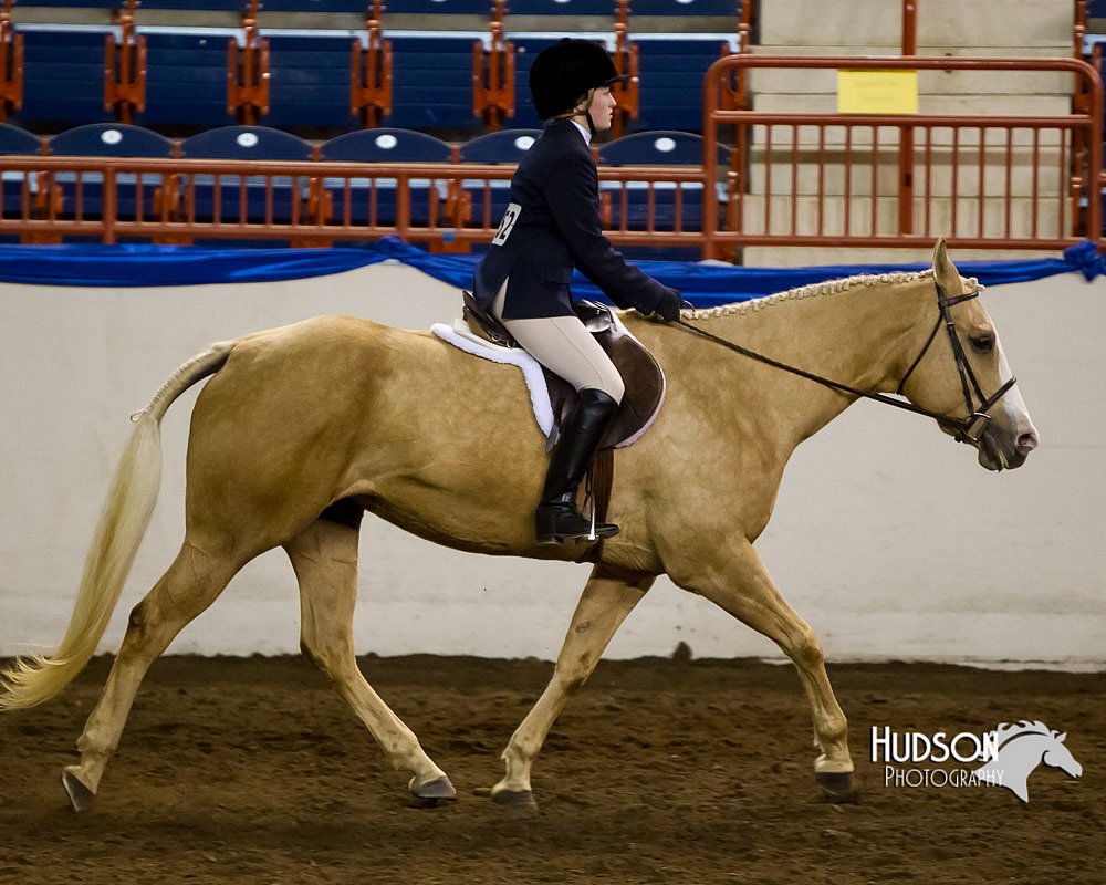 4H-Sate-102613-0626.jpg