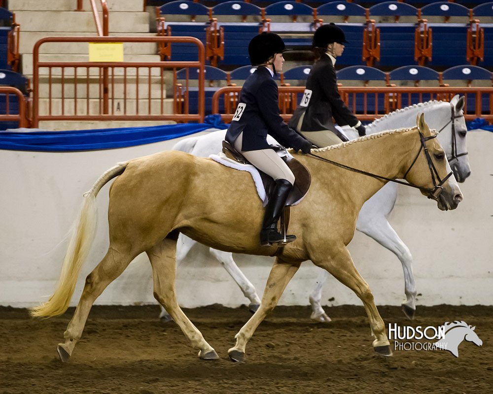 4H-Sate-102613-0627.jpg