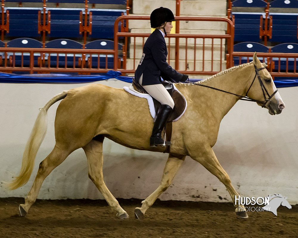 4H-Sate-102613-0630.jpg