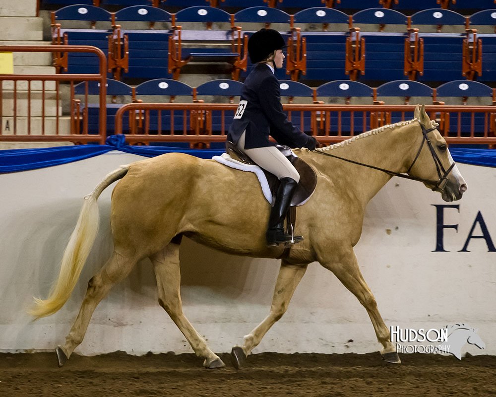 4H-Sate-102613-0632.jpg