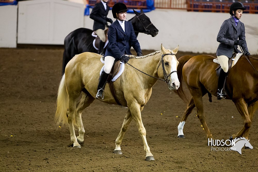 4H-Sate-102613-0637.jpg