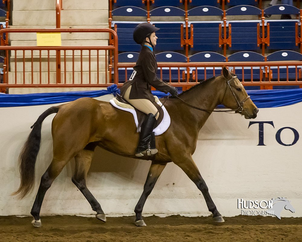 4H-Sate-102613-0659.jpg