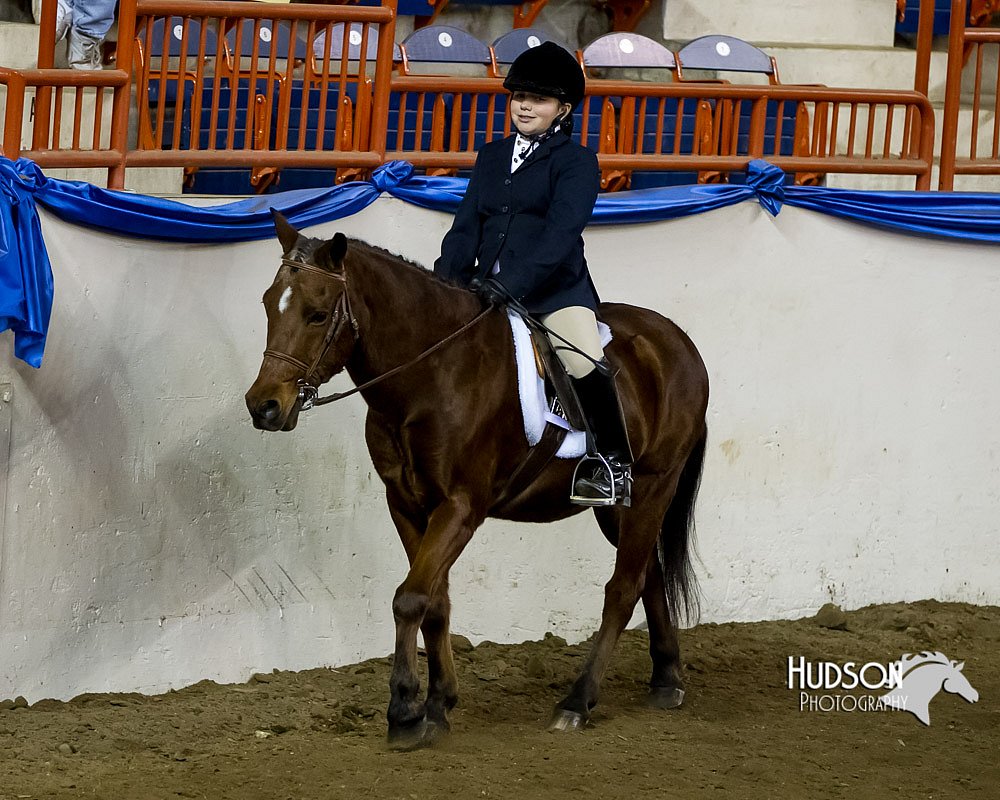 4H-Sate-102613-0673.jpg