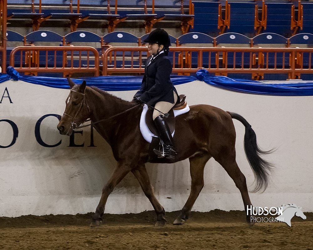 4H-Sate-102613-0674.jpg