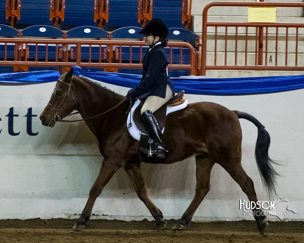 4H-Sate-102613-0676.jpg