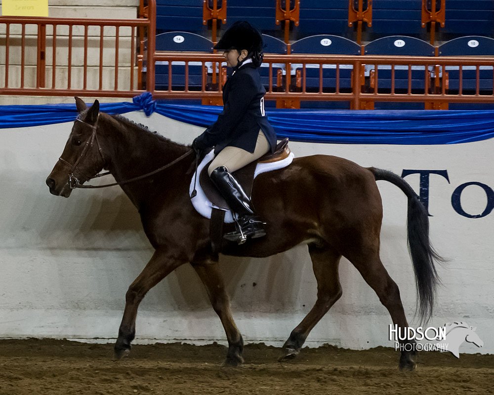 4H-Sate-102613-0677.jpg