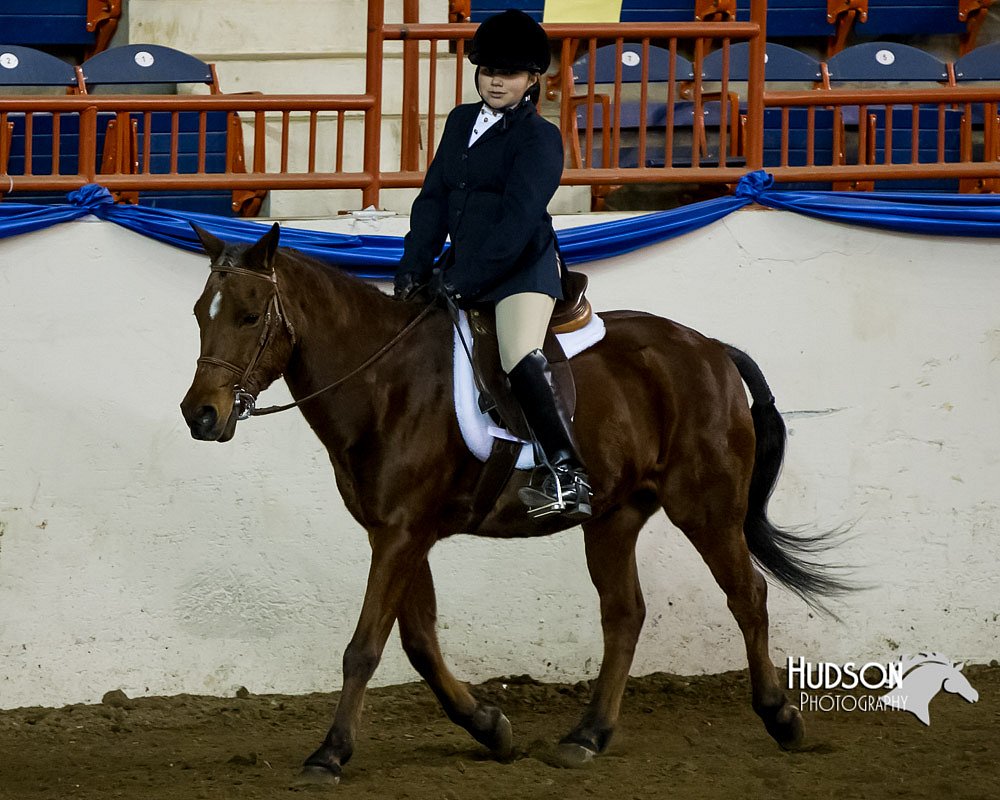 4H-Sate-102613-0679.jpg