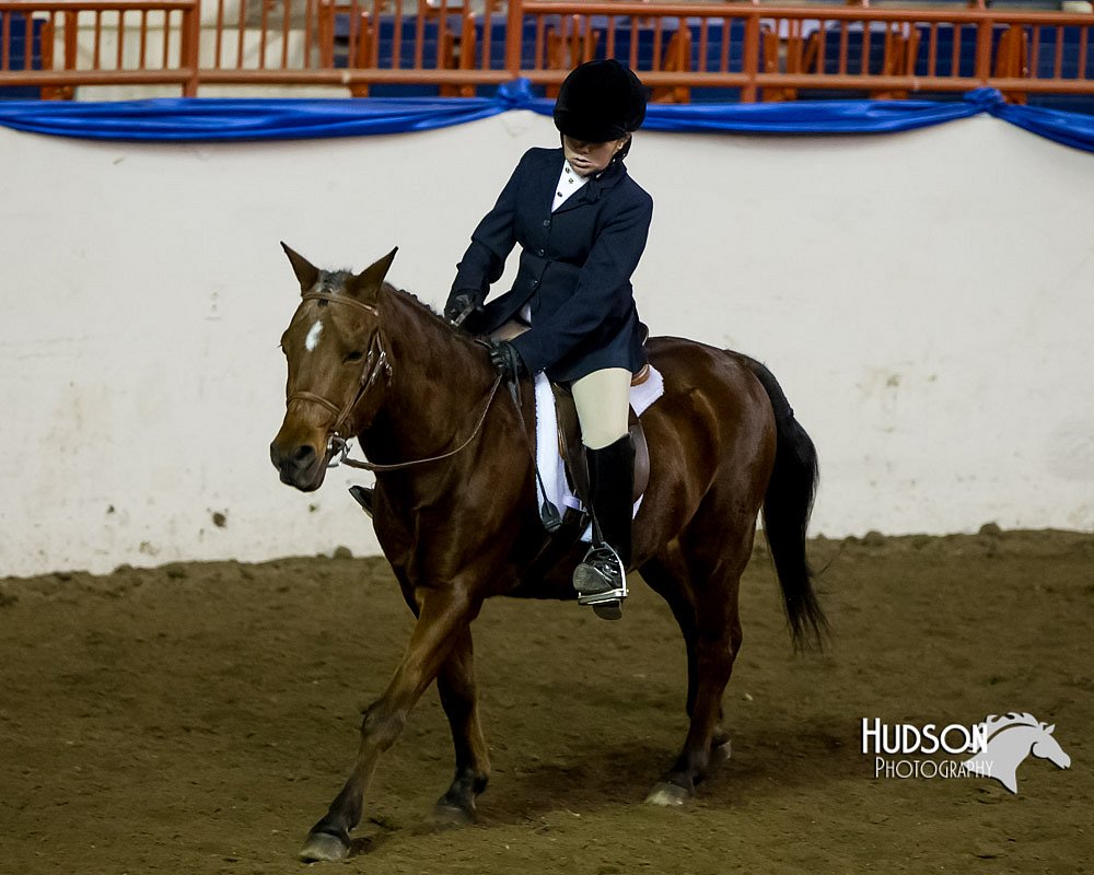 4H-Sate-102613-0682.jpg