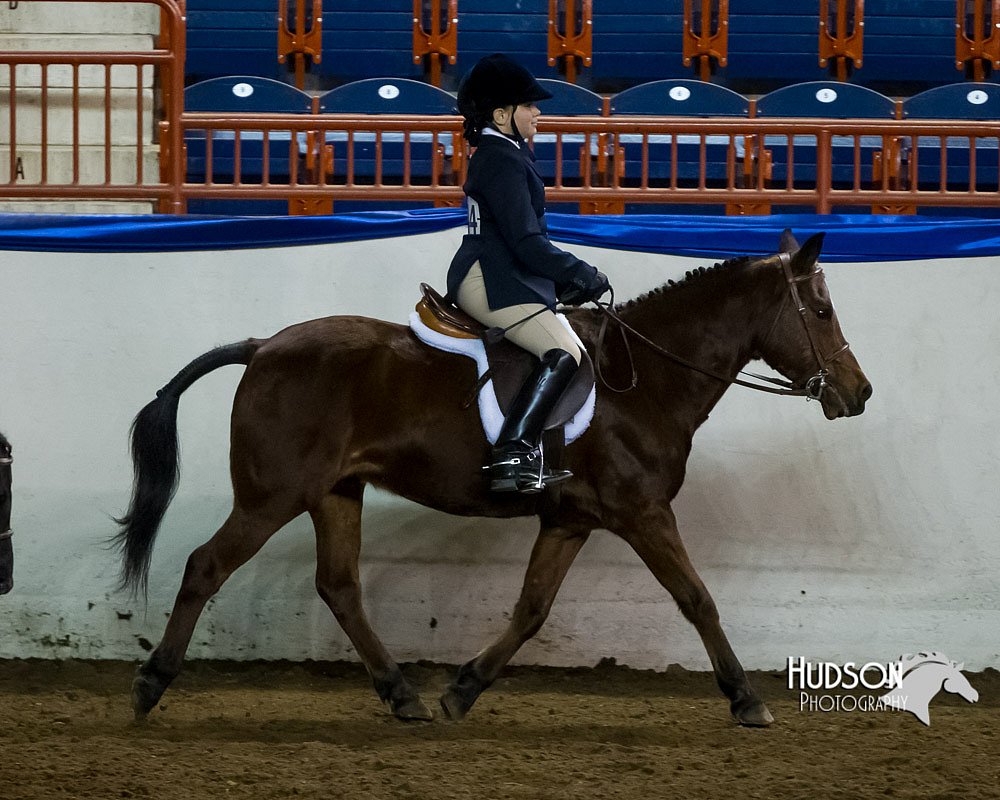 4H-Sate-102613-0687.jpg