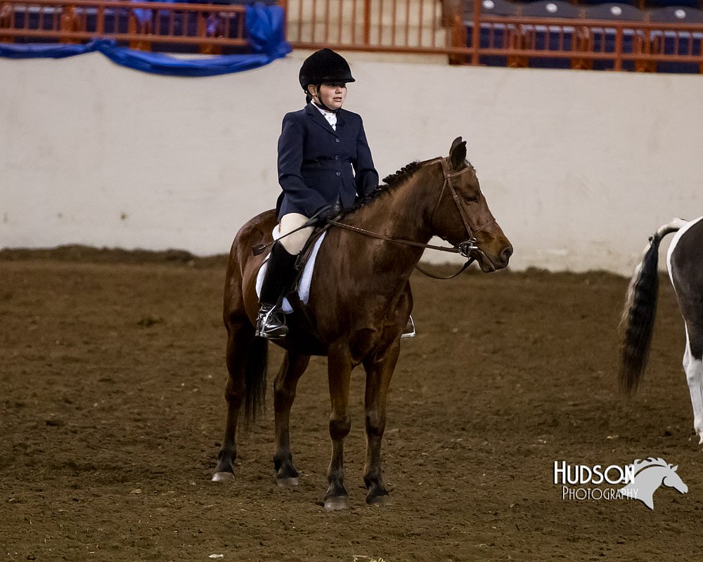 4H-Sate-102613-0688.jpg
