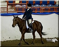 4H-Sate-102613-0680.jpg