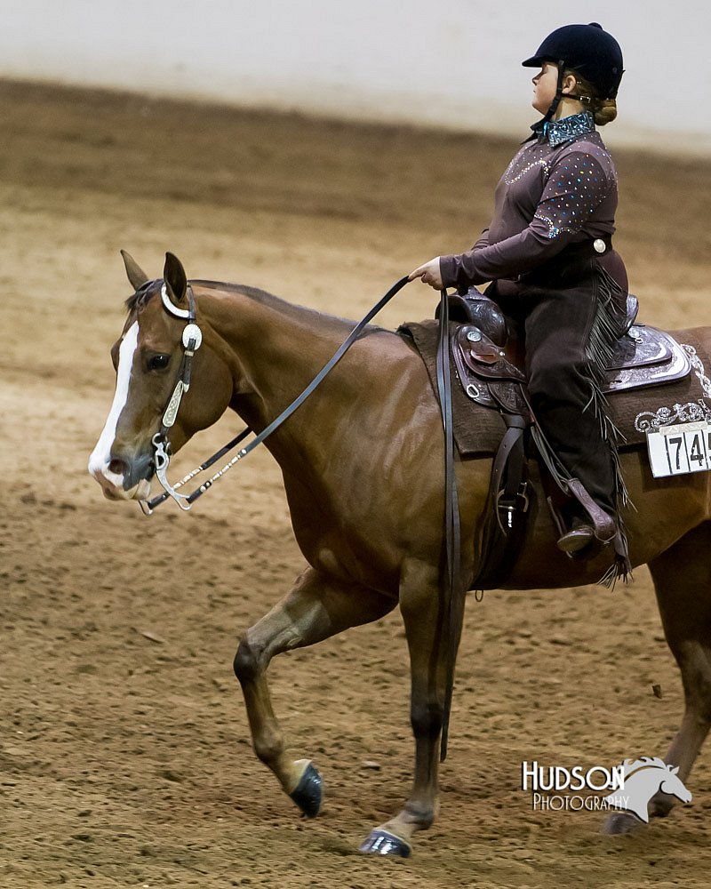 4H-Sate-102613-0864.jpg