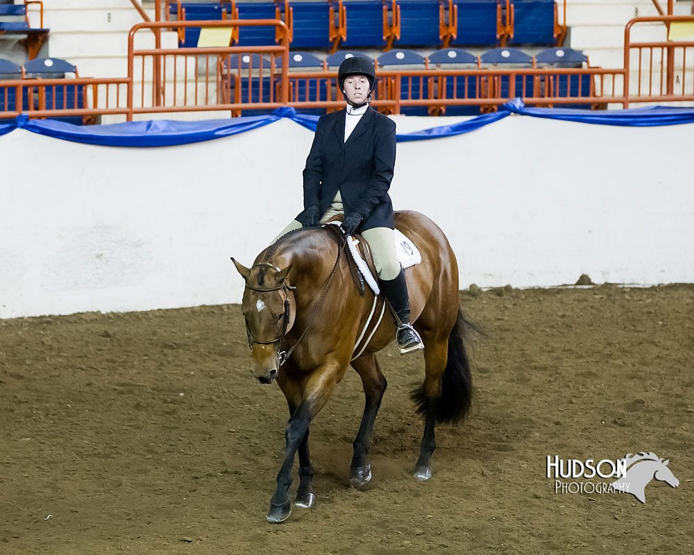 4H-Sate-102613-0819.jpg