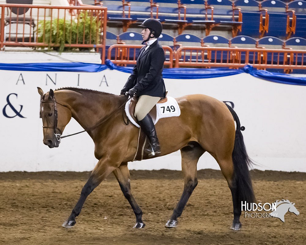 4H-Sate-102613-0824.jpg