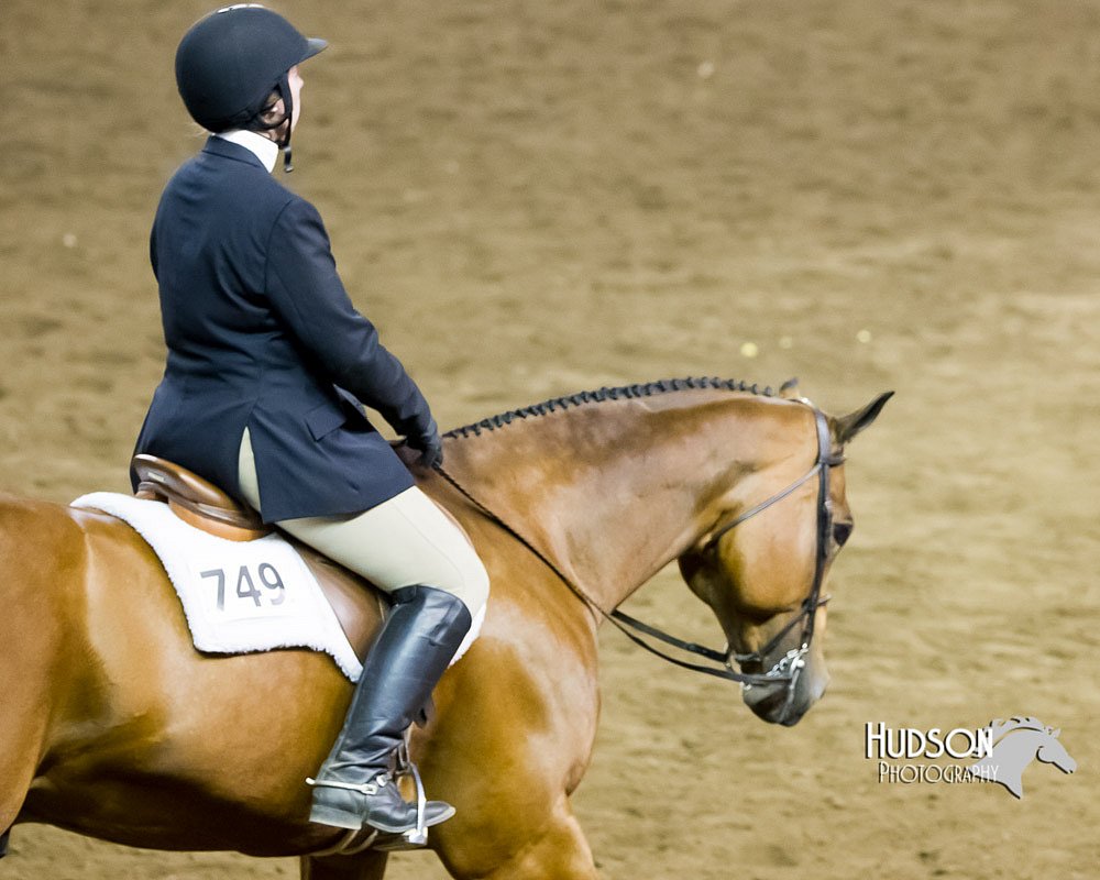 4H-Sate-102613-0826.jpg