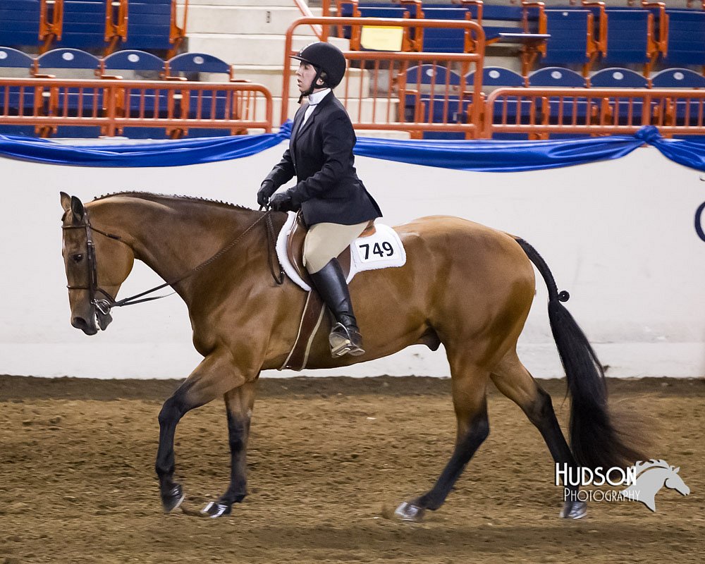 4H-Sate-102613-0827.jpg