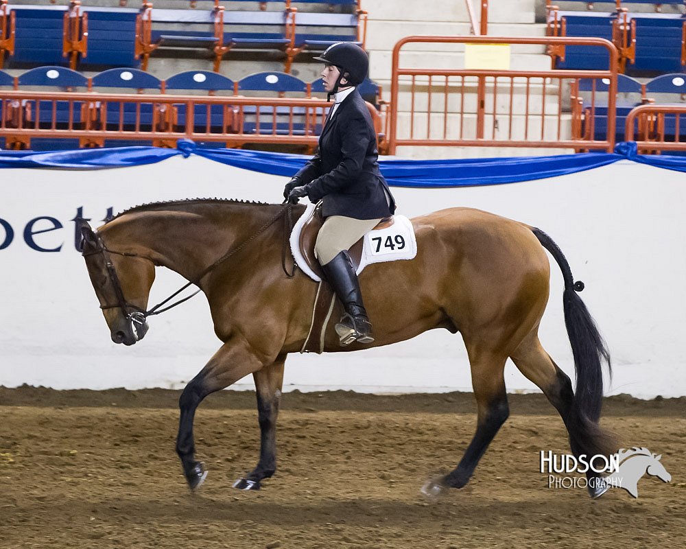 4H-Sate-102613-0829.jpg
