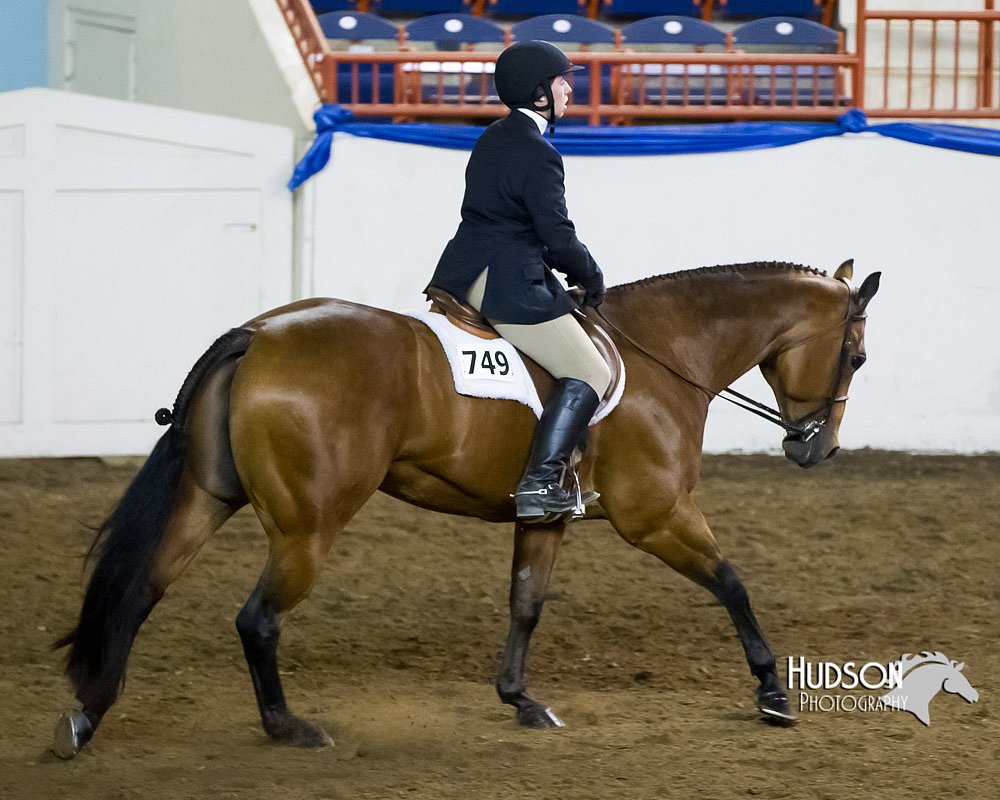 4H-Sate-102613-0831.jpg