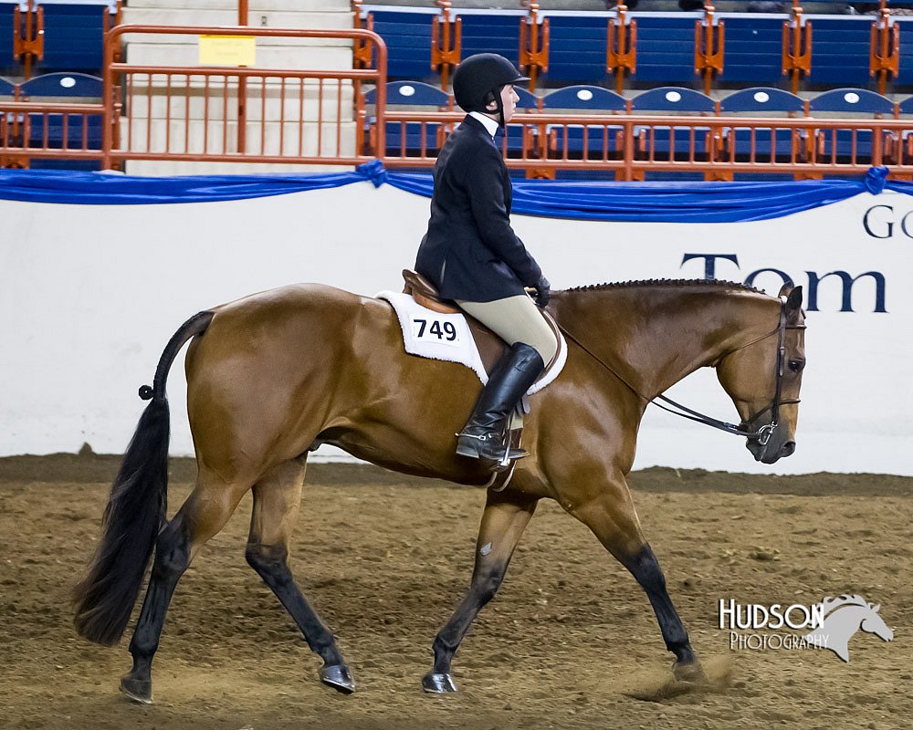 4H-Sate-102613-0837.jpg