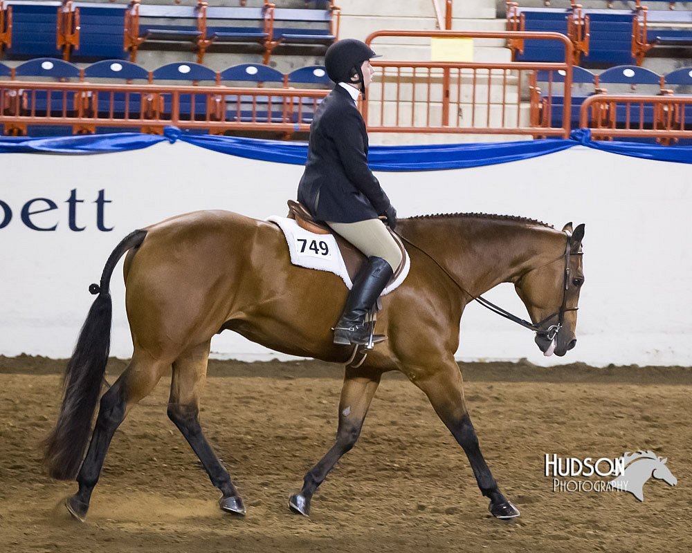 4H-Sate-102613-0838.jpg