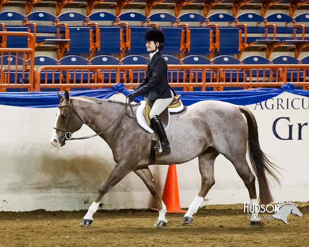 4H-Sate-102613-0877.jpg