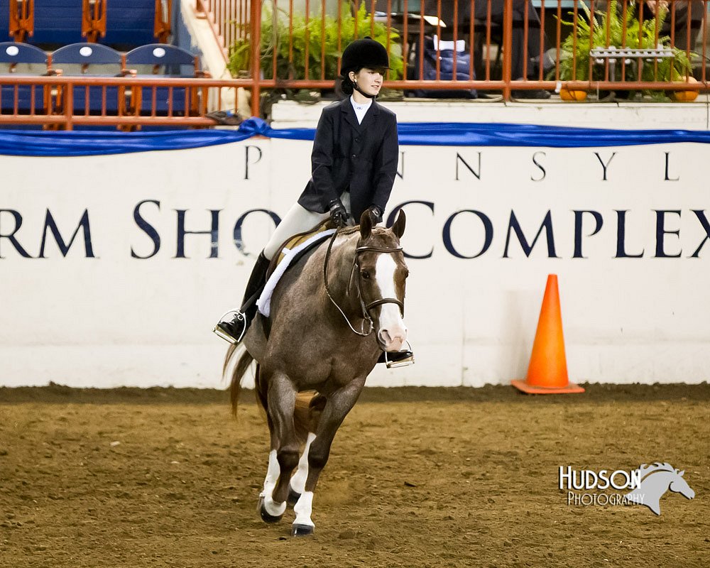4H-Sate-102613-0880.jpg
