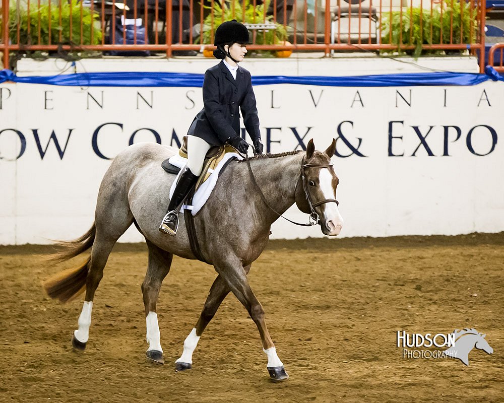 4H-Sate-102613-0881.jpg